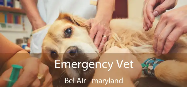 Emergency Vet Bel Air - maryland