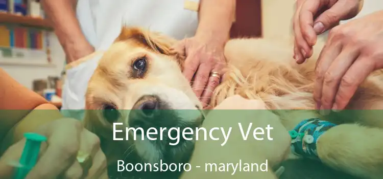 Emergency Vet Boonsboro - maryland