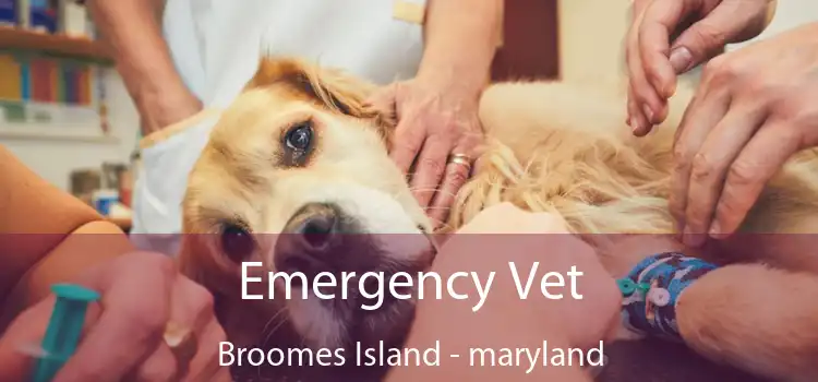 Emergency Vet Broomes Island - maryland