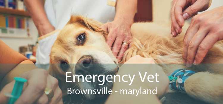 Emergency Vet Brownsville - maryland