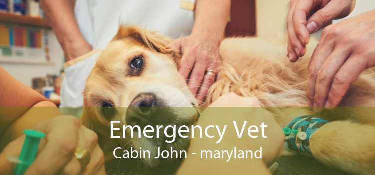Emergency Vet Cabin John - maryland