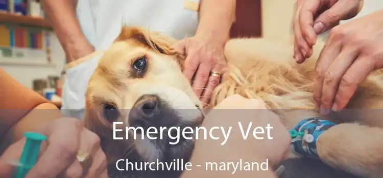 Emergency Vet Churchville - maryland