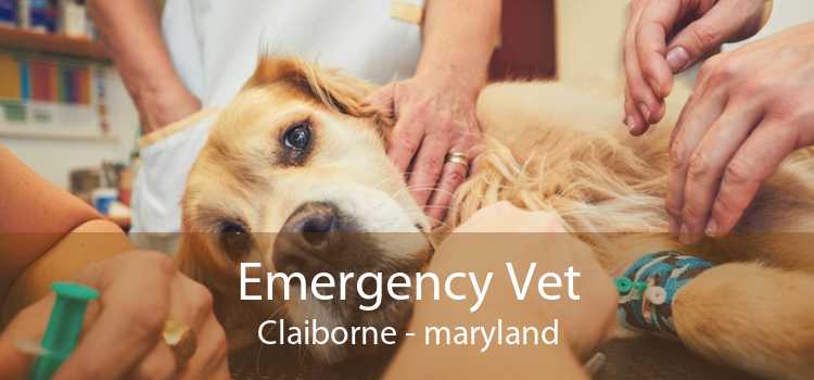 Emergency Vet Claiborne - maryland