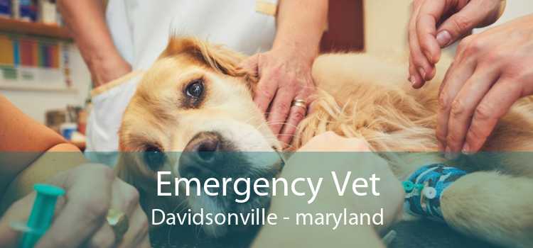 Emergency Vet Davidsonville - maryland