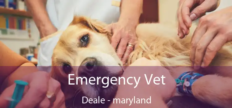 Emergency Vet Deale - maryland