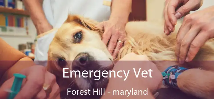 Emergency Vet Forest Hill - maryland
