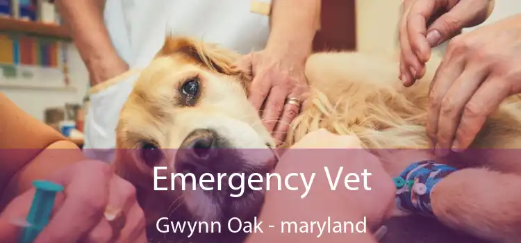 Emergency Vet Gwynn Oak - maryland