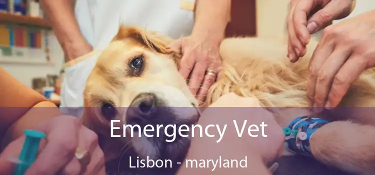 Emergency Vet Lisbon - maryland