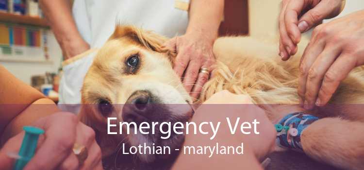 Emergency Vet Lothian - maryland