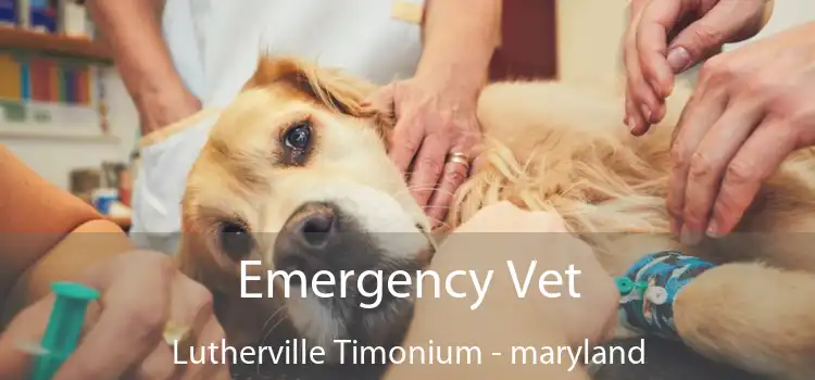 Emergency Vet Lutherville Timonium - maryland