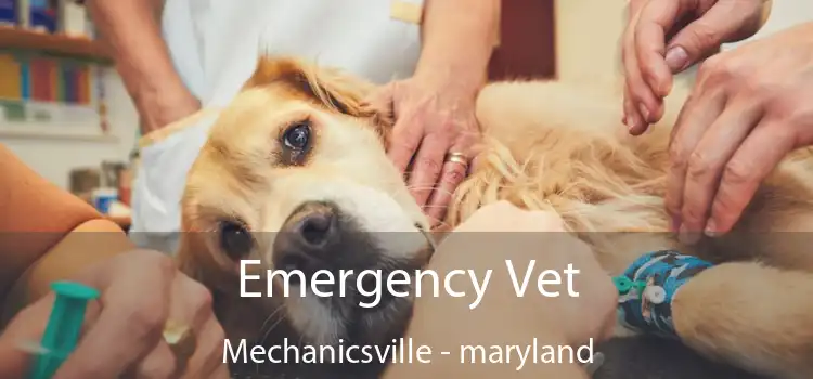 Emergency Vet Mechanicsville - maryland