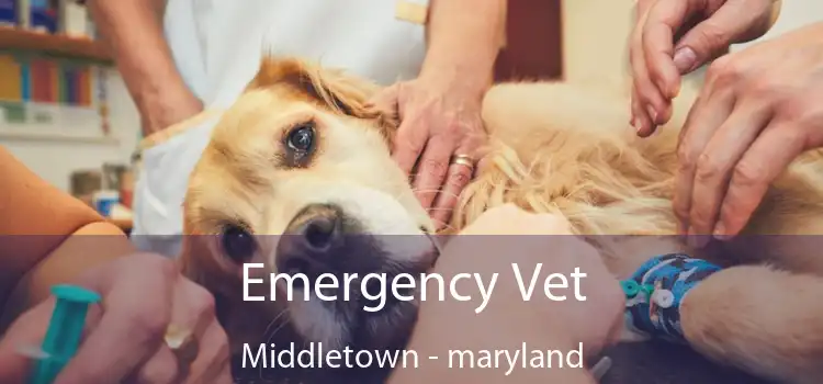 Emergency Vet Middletown - maryland