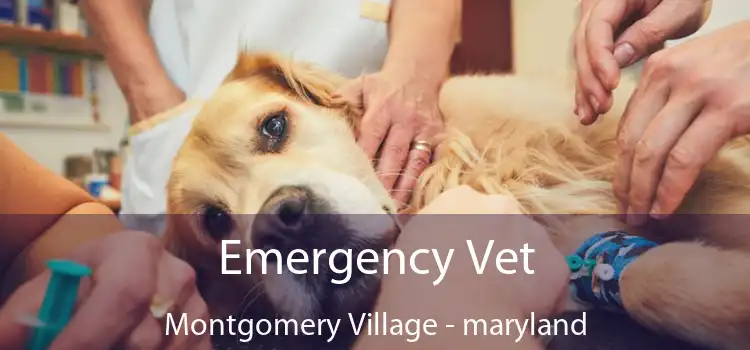 Emergency Vet Montgomery Village - maryland