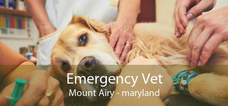 Emergency Vet Mount Airy - maryland