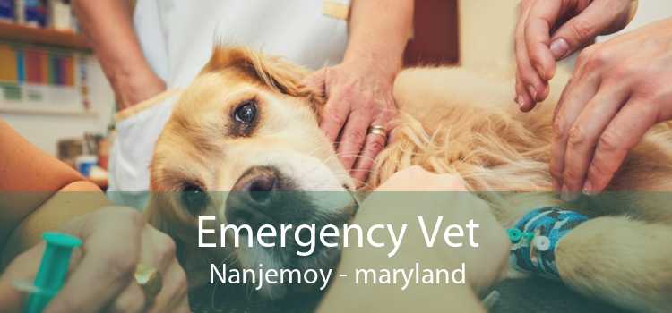 Emergency Vet Nanjemoy - maryland