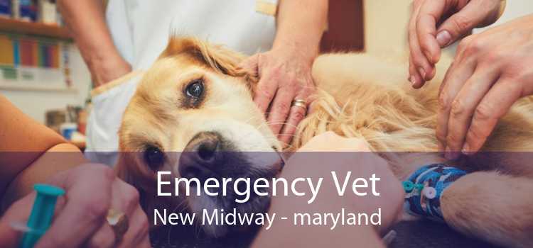 Emergency Vet New Midway - maryland
