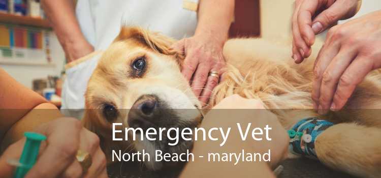 Emergency Vet North Beach - maryland