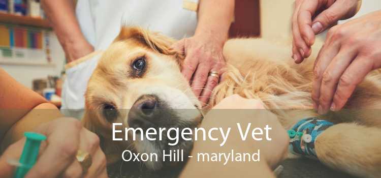 Emergency Vet Oxon Hill - maryland