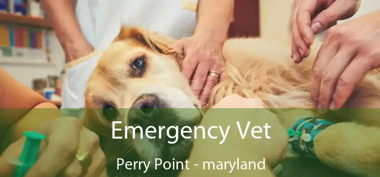 Emergency Vet Perry Point - maryland