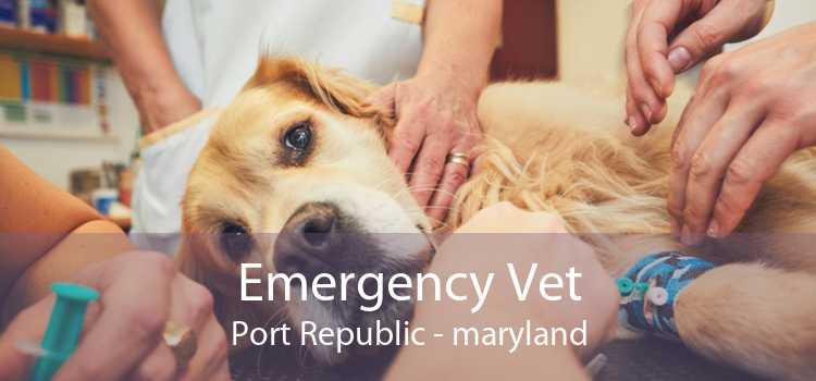Emergency Vet Port Republic - maryland