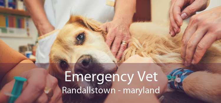 Emergency Vet Randallstown - maryland