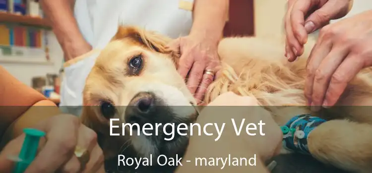 Emergency Vet Royal Oak - maryland