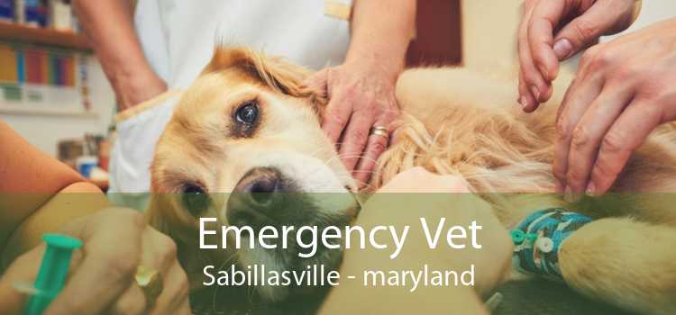Emergency Vet Sabillasville - maryland