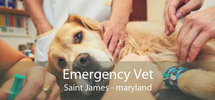 Emergency Vet Saint James - maryland
