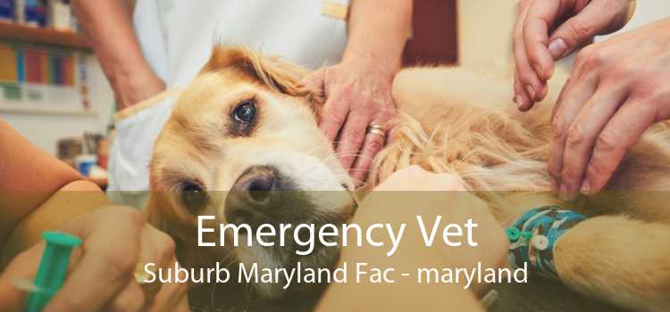 Emergency Vet Suburb Maryland Fac - maryland