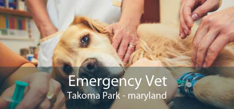 Emergency Vet Takoma Park - maryland