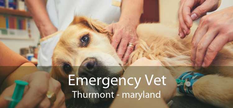 Emergency Vet Thurmont - maryland