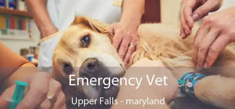 Emergency Vet Upper Falls - maryland