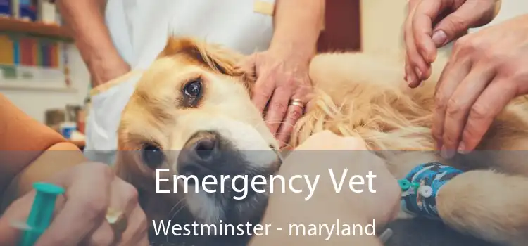 Emergency Vet Westminster - maryland