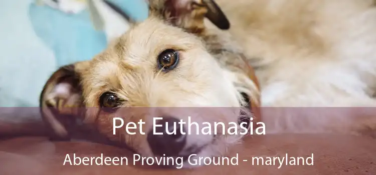 Pet Euthanasia Aberdeen Proving Ground - maryland