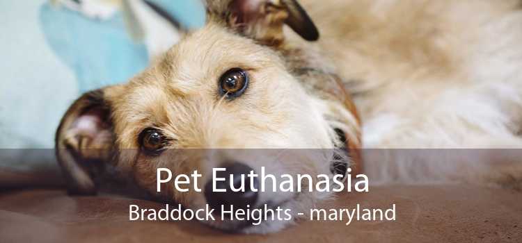 Pet Euthanasia Braddock Heights - maryland