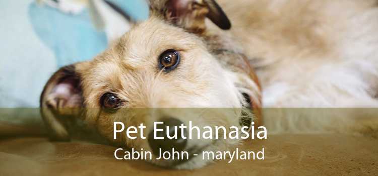 Pet Euthanasia Cabin John - maryland
