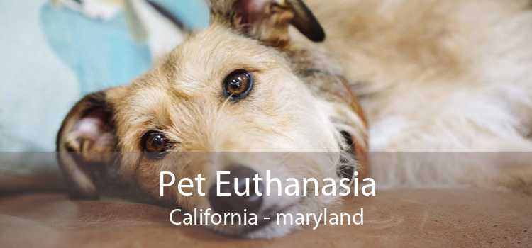 Pet Euthanasia California - maryland