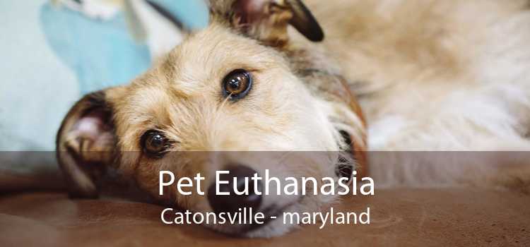 Pet Euthanasia Catonsville - maryland