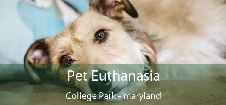 Pet Euthanasia College Park - maryland