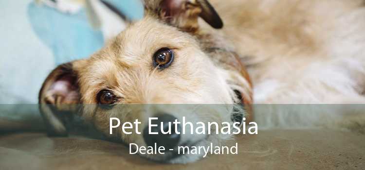 Pet Euthanasia Deale - maryland