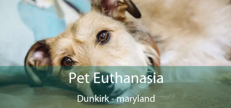 Pet Euthanasia Dunkirk - maryland