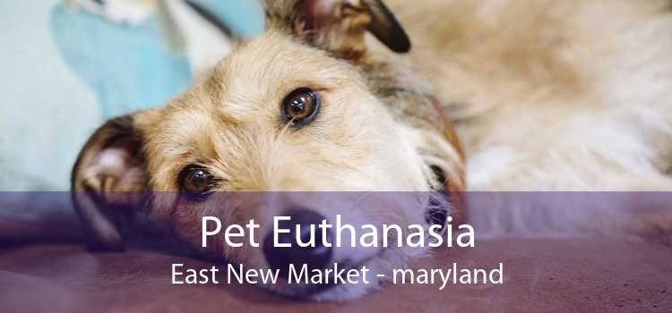 Pet Euthanasia East New Market - maryland