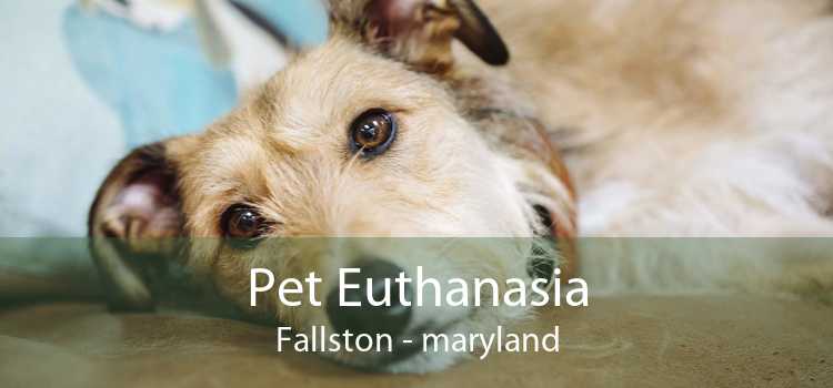 Pet Euthanasia Fallston - maryland