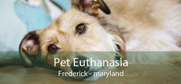 Pet Euthanasia Frederick - maryland