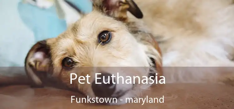 Pet Euthanasia Funkstown - maryland