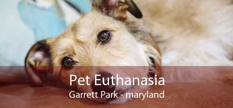 Pet Euthanasia Garrett Park - maryland