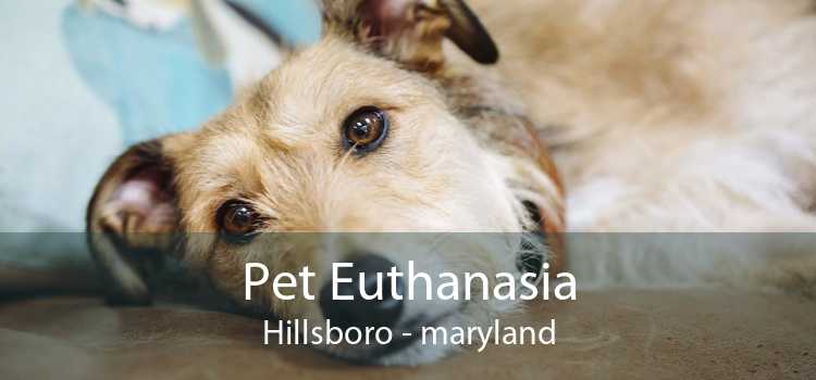 Pet Euthanasia Hillsboro - maryland