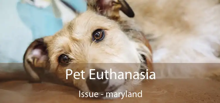 Pet Euthanasia Issue - maryland