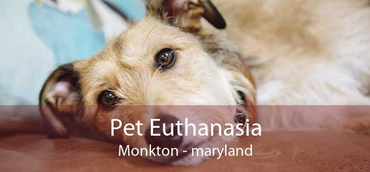 Pet Euthanasia Monkton - maryland