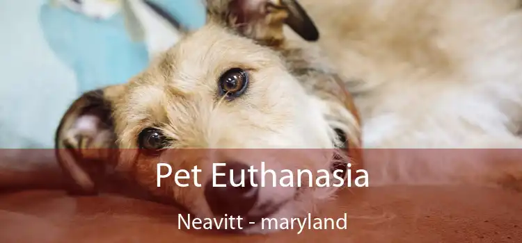 Pet Euthanasia Neavitt - maryland